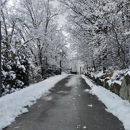 El Rincon Del Pirineo Apartment Tramacastilla de Tena